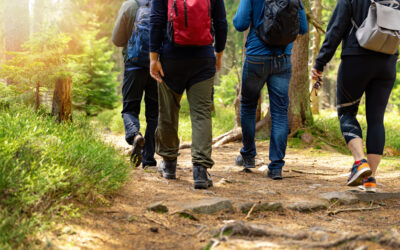 Mettre en place un Coaching Nature